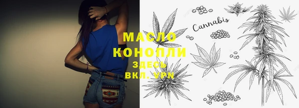 стаф Мурманск