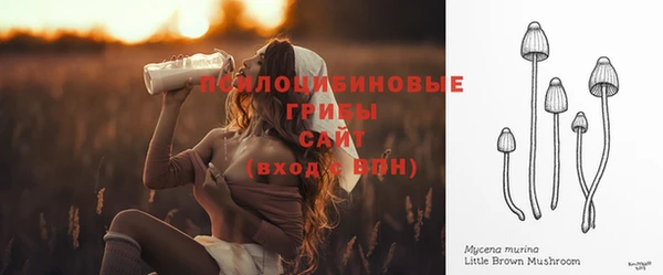 мяу мяу мука Корсаков
