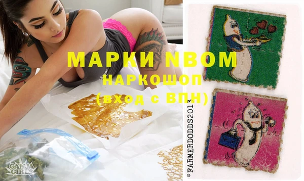 мдпв Кулебаки
