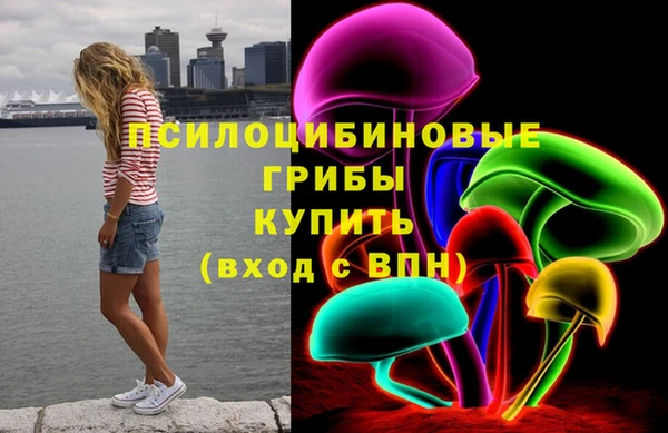 дурь Кукмор