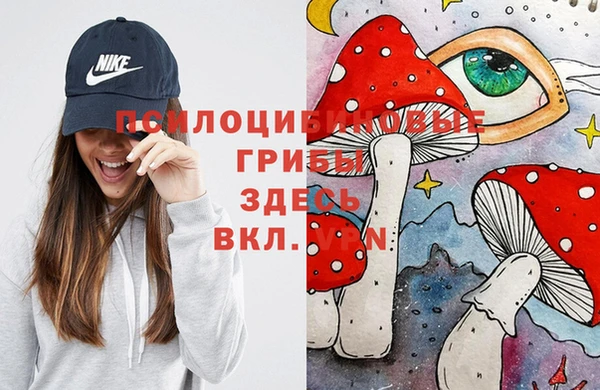 мдпв Кулебаки